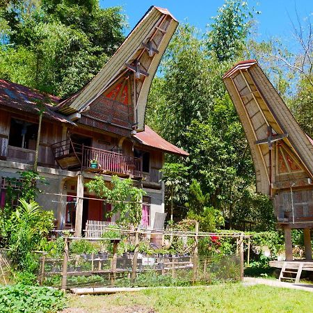 Ne Pakku Manja Family Home Rantepao Exterior photo