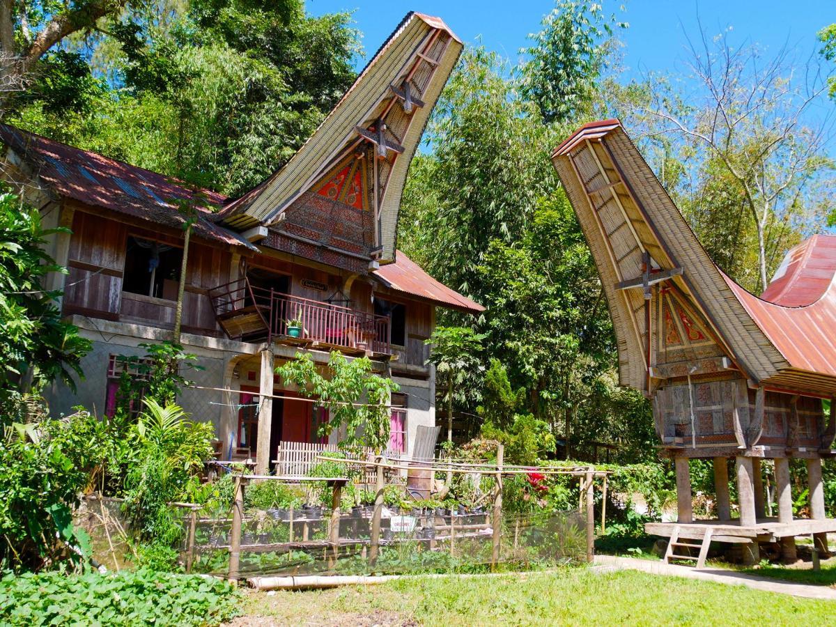 Ne Pakku Manja Family Home Rantepao Exterior photo